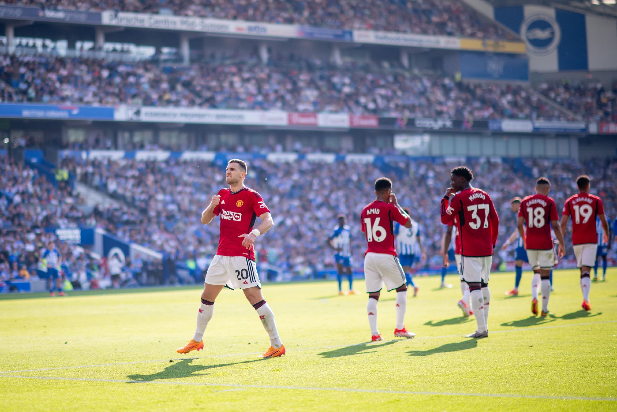 满含温情的 满含温情的